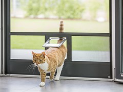 Neher DT Katzenklappe - wenzel. Raumausstattung & Polsermanufaktur